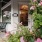 Window front of small business